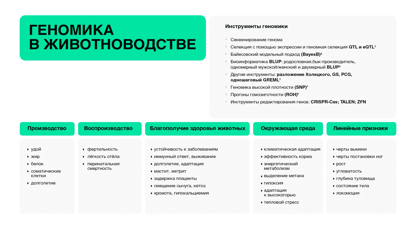 18.07.24 1.4