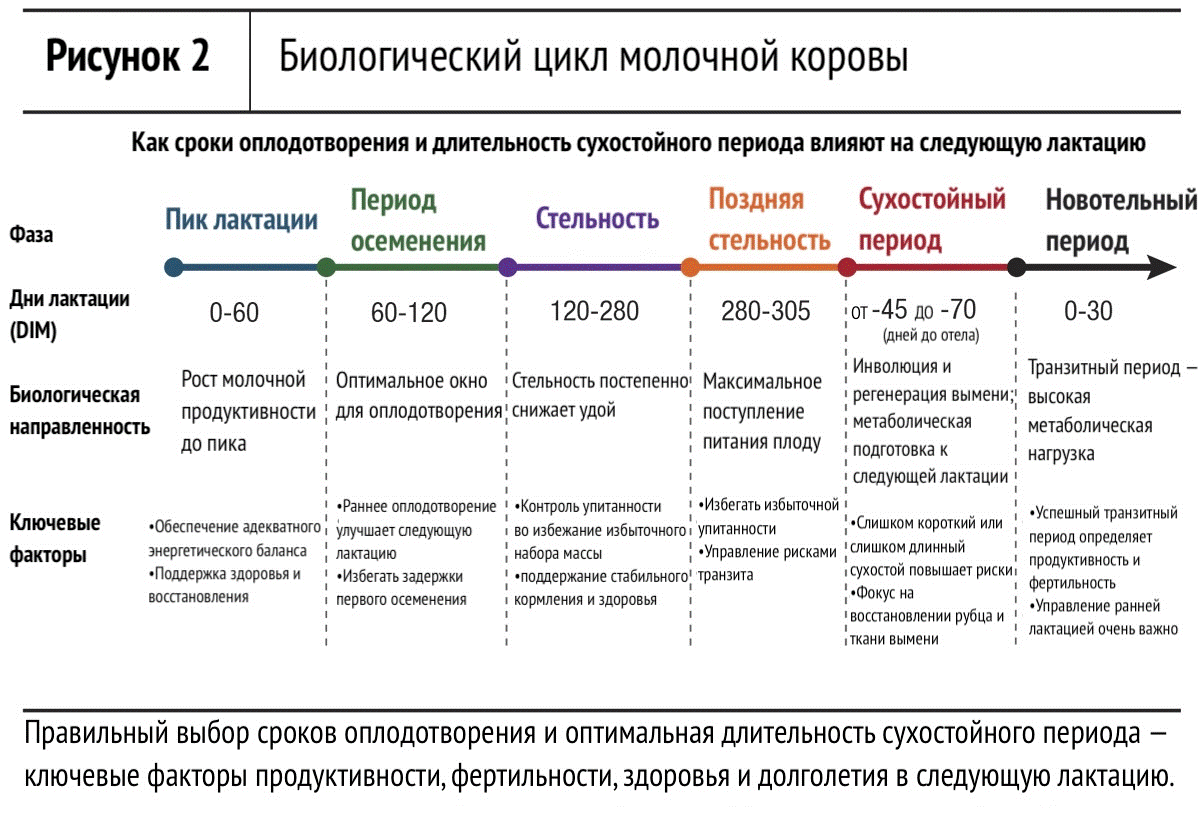 19.08.26 1.2