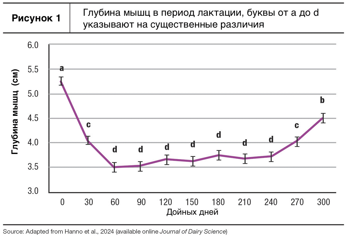 21.01.25 1.2 